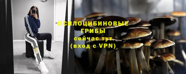 первитин Нея